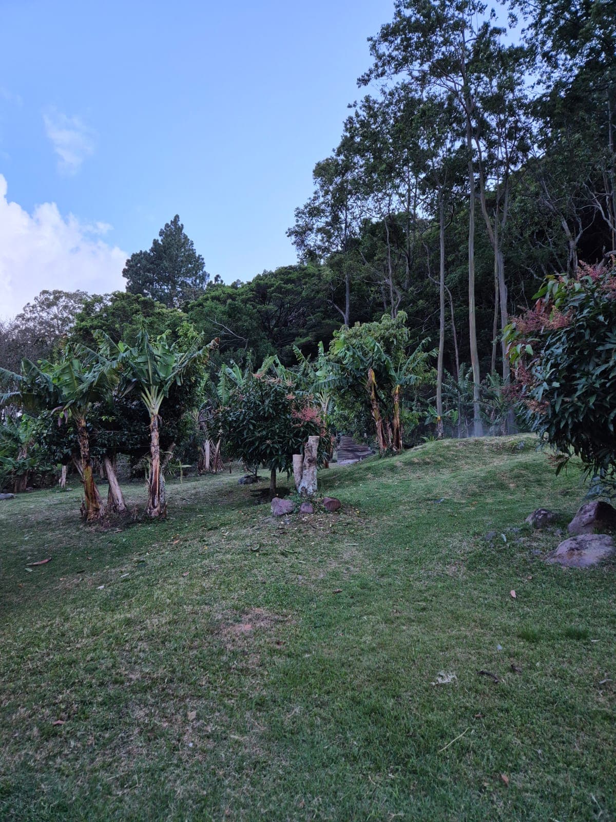 Foto de Senderos Amados 5